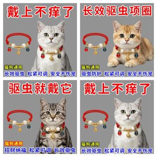 （分類：）位於 。 由 leungki3006 提交（商品編號 1443355639，圖片 1）。簡介： 。