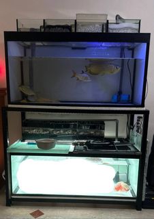 (Category: ) located in . Submitted by Sky.Wolf (Listing ID 1443324696, Image 1). Description: .