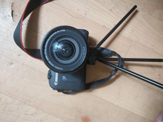（分類：）位於 。 由 hellobaby6 提交（商品編號 1443345939，圖片 1）。簡介： 。
