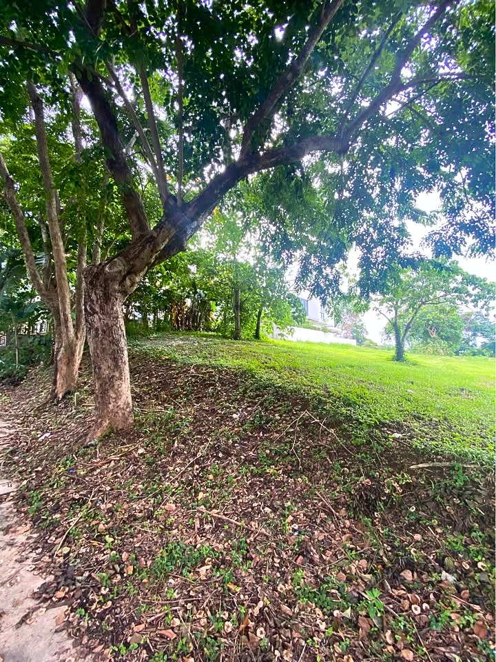 (Category: ) located in . Submitted by thatsbrokerraven (Listing ID 1443319667, Image 1). Description: .