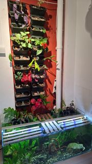 (Category: ) located in . Submitted by mattemoto (Listing ID 1443410169, Image 1). Description: .