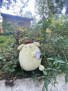 (Category: ) located in . Submitted by mangu_ukay (Listing ID 1443450167, Image 1). Description: .
