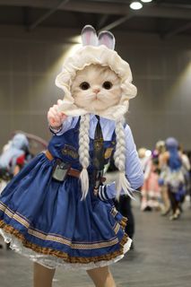 （分類：）位於 。 由 piske_usagi 提交（商品編號 1414218232，圖片 1）。簡介： 。