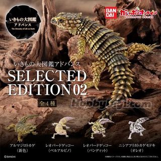 （分類：）位於 。 由 rayrayebay 提交（商品編號 1443630993，圖片 1）。簡介： 。