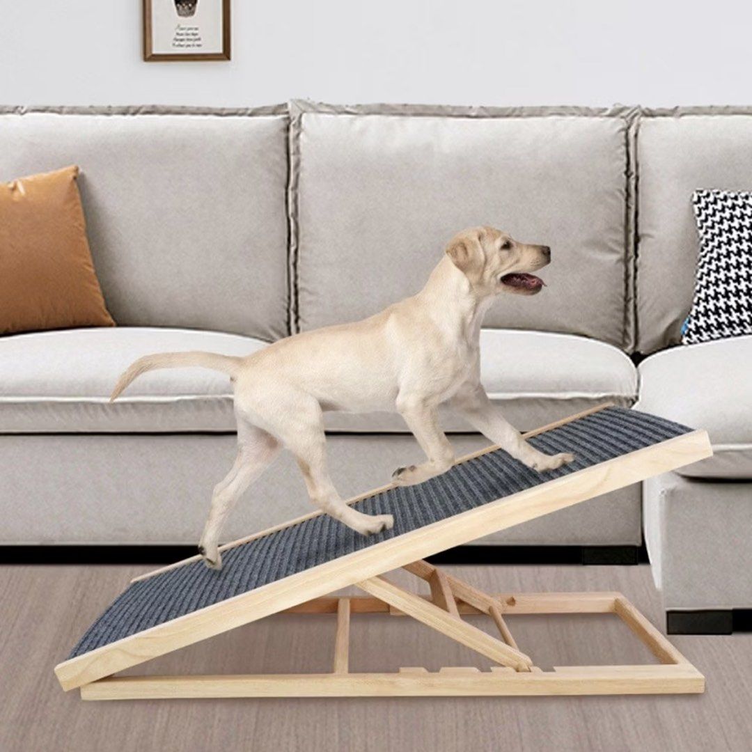 Adjustable Foldable Pet Ladder for Dogs and Cats (Category: Homes & Other Pet Accessories) located in Quezon City. Submitted by openstorage (Listing ID 1443516953, Image 1). Description: RFS : too big for our place - still has its box - Helps pets reach high places easily. - Features shock-absorbing, anti-slip carpet fabric. - Adjustable to multiple heights. - Folds for convenient storage. - Protects your pet's joints. - Ideal for dogs and cats n