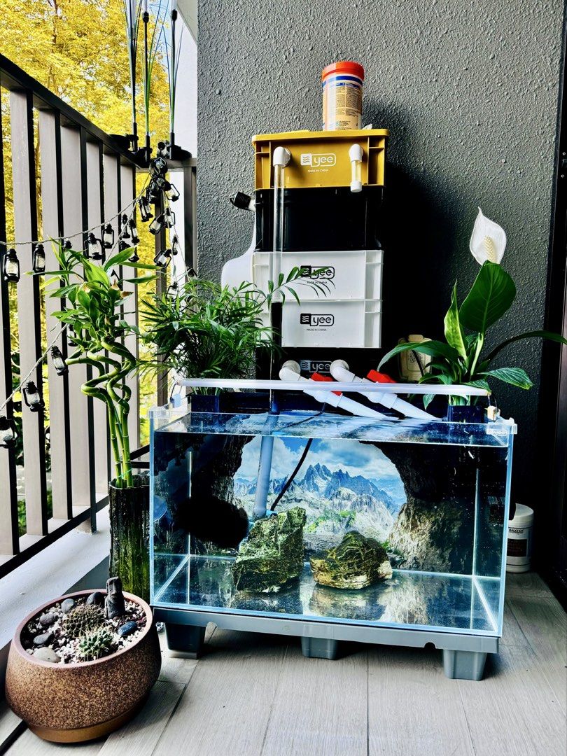 fish tank accessories singapore Voyyphixa 2 Pack Decorations, Aquarium Ornaments Diver with Floating Device Aquarium Fishes Pet Toys for Freshwater Saltwater SG-SPOETRYFish Tank Fish Aquarium Filter