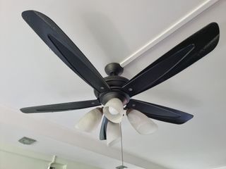 (Category: ) located in . Submitted by sarath.zigma (Listing ID 1443578783, Image 1). Description: .