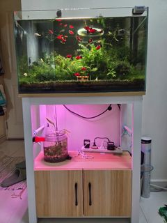 (Category: ) located in . Submitted by louis.cua (Listing ID 1443573179, Image 1). Description: .