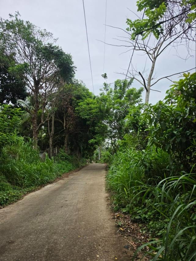 Alfonso Cavite - Lot for Sale (Category: Lot) located in Caloocan City. Submitted by michaelgutierrez_4244 (Listing ID 1420388656, Image 2). Description: Note: Clean Title ,Subdivide 6 Titles. Suitable for Farming with good climate.143,147 sqm (14.3 has) .