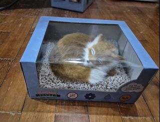 (Category: ) located in . Submitted by possible4471 (Listing ID 1443687755, Image 1). Description: .