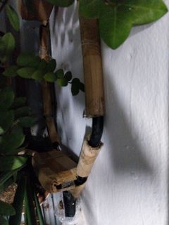 (Category: ) located in . Submitted by tan2026 (Listing ID 1443635836, Image 1). Description: .