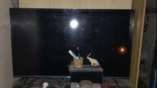 (Category: ) located in . Submitted by jemmeah (Listing ID 1443530034, Image 1). Description: .