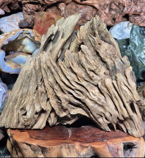 (Category: ) located in . Submitted by earthandtimber (Listing ID 1443609524, Image 1). Description: .