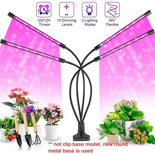 （分類：）位於 。 由 giftanywhere 提交（商品編號 1443862020，圖片 1）。簡介： 。