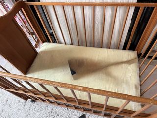 (Category: ) located in . Submitted by liyanaamusa (Listing ID 1443745232, Image 1). Description: .