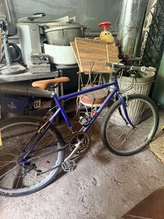 (Category: ) located in . Submitted by movvgi (Listing ID 1443752659, Image 1). Description: .