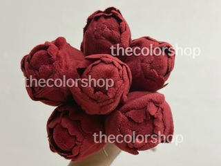 (Category: ) located in . Submitted by thecolorshop (Listing ID 1443898280, Image 1). Description: .