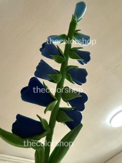 (Category: ) located in . Submitted by thecolorshop (Listing ID 1443767774, Image 1). Description: .