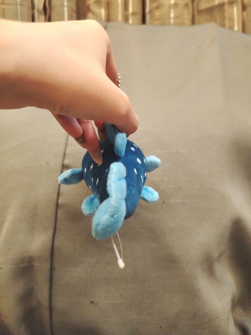 Coelacanth Fish Plushie Keychain (Category: Plushies & Soft Toys) located in San Fernando. Submitted by jpmarketplace2023 (Listing ID 1443769805, Image 3). Description: 💚 All items are authentic from Japan. 💛 MOP: GCash (❌️ GCash Protect) 🩵 MOD: LBC only (❌️ S. Checkout, COD, COP) 💙 Meet-up: Vista Mall, San Fernando, Pampanga 💜 All items are on-hand. 🧡 First to pay gets the item first. ❤️ Breakable items are packed with care and caution. Se