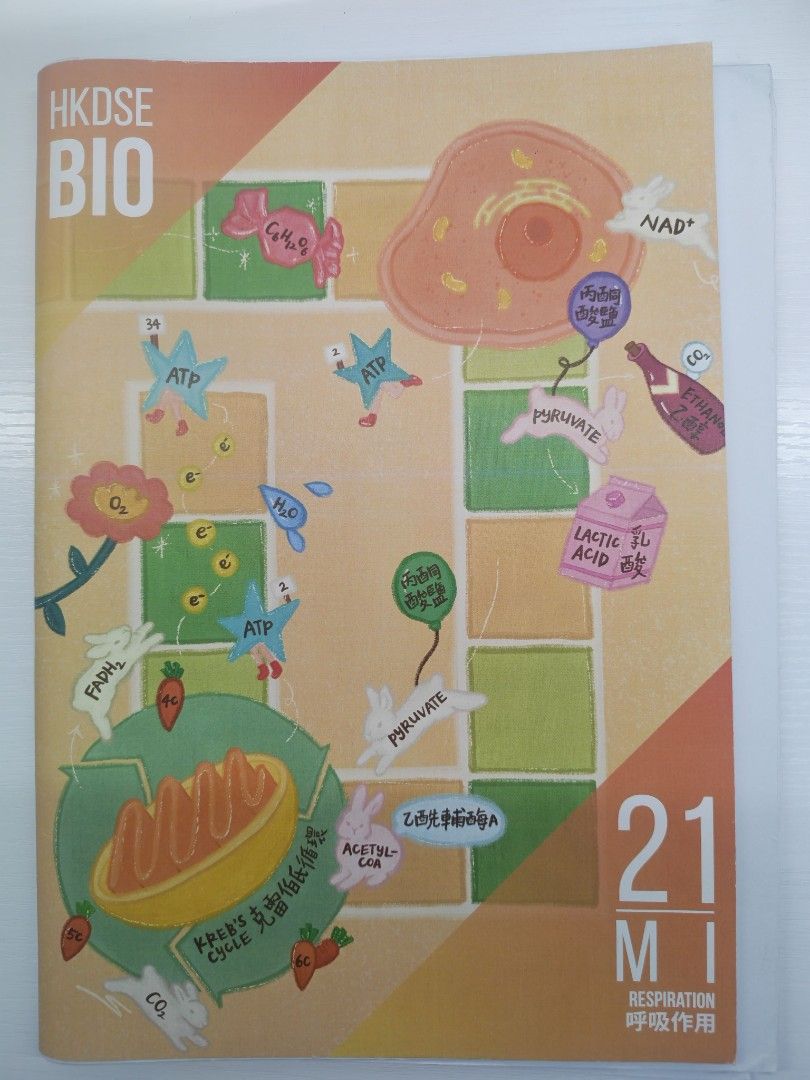 Fango bio notes （分類：教科書）位於 Hong Kong。 由 mysticcloud_8d 提交（商品編號 1443821279，圖片 3）。簡介： Elective E1 & E4 一本$50 (內有Practice Questions + Past paper + 答案) ［E1 雞精 $60 E4 雞精 $60］ Core: Ch21, 24, 25, 26, 27-28, 29-30 一本$40 (內有Practice Questions + Past paper + 答案) P.9 (Ch1,2,3,4,11) $60 P.10 (Ch15-19) $60 。