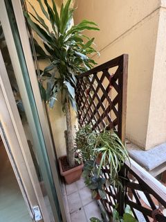 (Category: ) located in . Submitted by madujith125 (Listing ID 1443750243, Image 1). Description: .