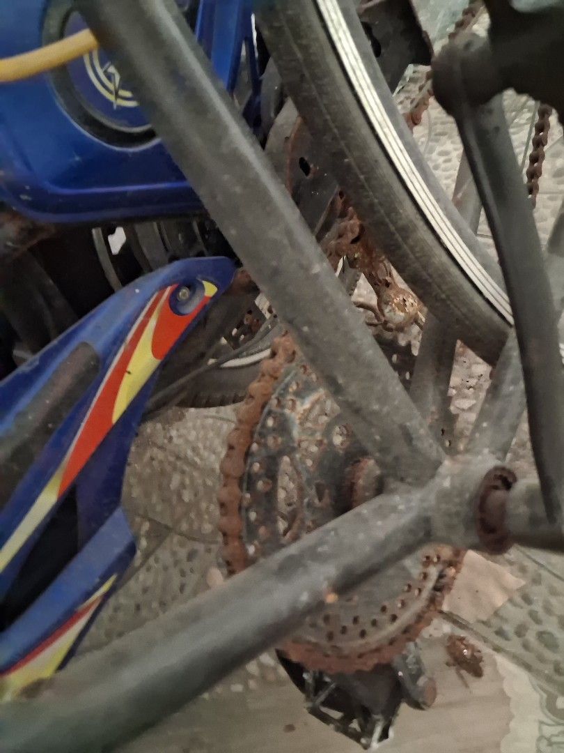 Garuda v1 (Category: Bicycles) located in Manila. Submitted by xieea (Listing ID 1443804923, Image 2). Description: Mga ilang beses lang siya nagamit, wala naman shang gasgas nakatambay lang kc kaya nangalawang na.( Ung garuda lang ha) - Sturdy bike frame - Some minor rust visible on chain and gears - Black handlebars - Black tires with white rims - Ready for its new owner!.