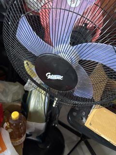 (Category: ) located in . Submitted by munchkin76 (Listing ID 1443759117, Image 1). Description: .