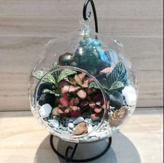 (Category: ) located in . Submitted by lushglassdoor (Listing ID 1443743477, Image 1). Description: .