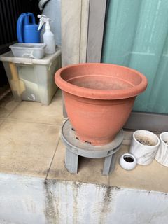 (Category: ) located in . Submitted by shlam88 (Listing ID 1443809906, Image 1). Description: .