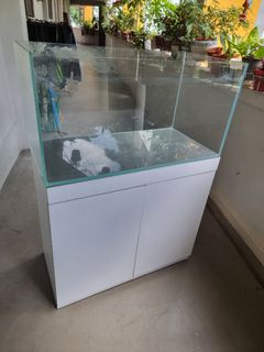 (Category: ) located in . Submitted by petstyle888 (Listing ID 1442458852, Image 1). Description: .