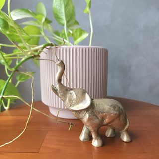 (Category: ) located in . Submitted by billis_vintage_finds (Listing ID 1443792700, Image 1). Description: .