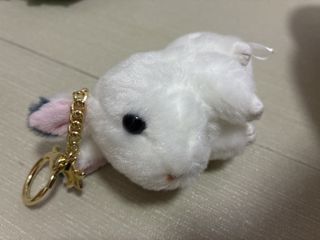 （分類：）位於 。 由 blackfatturtle 提交（商品編號 1443873842，圖片 1）。簡介： 。