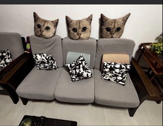 (Category: ) located in . Submitted by loprdd (Listing ID 1444054729, Image 1). Description: .