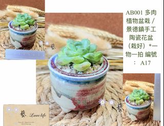 （分類：）位於 。 由 nll_ngai.lovelife 提交（商品編號 1444075980，圖片 1）。簡介： 。