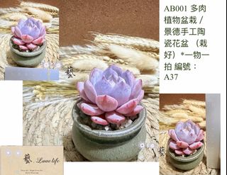（分類：）位於 。 由 nll_ngai.lovelife 提交（商品編號 1444077378，圖片 1）。簡介： 。