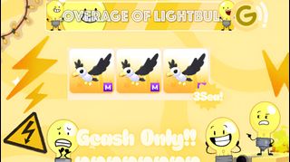 (Category: ) located in . Submitted by lightbulbsgoodies (Listing ID 1444020423, Image 1). Description: .