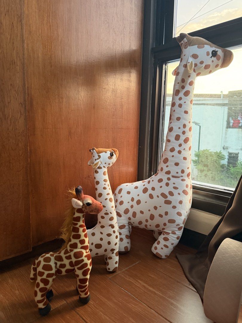 Big Plush Giraffe Toy (Category: Plushies & Soft Toys) located in Makati City. Submitted by _stylebuffet (Listing ID 1443985051, Image 1). Description: Take all for 1.2K The tallest one alone is 1.2k Used once only for baby’s first bday shoot The tallest one couldnt stand on its own btw.
