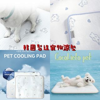 （分類：）位於 。 由 cc_pet 提交（商品編號 1444056100，圖片 1）。簡介： 。
