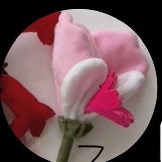 (Category: ) located in . Submitted by celineauclair (Listing ID 1443918190, Image 1). Description: .