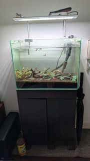 (Category: ) located in . Submitted by aussie_kozzy (Listing ID 1443951951, Image 1). Description: .