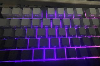 (Category: ) located in . Submitted by shafleenau02824 (Listing ID 1443991728, Image 1). Description: .