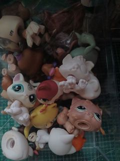 (Category: ) located in . Submitted by yappingyupper (Listing ID 1443961121, Image 1). Description: .