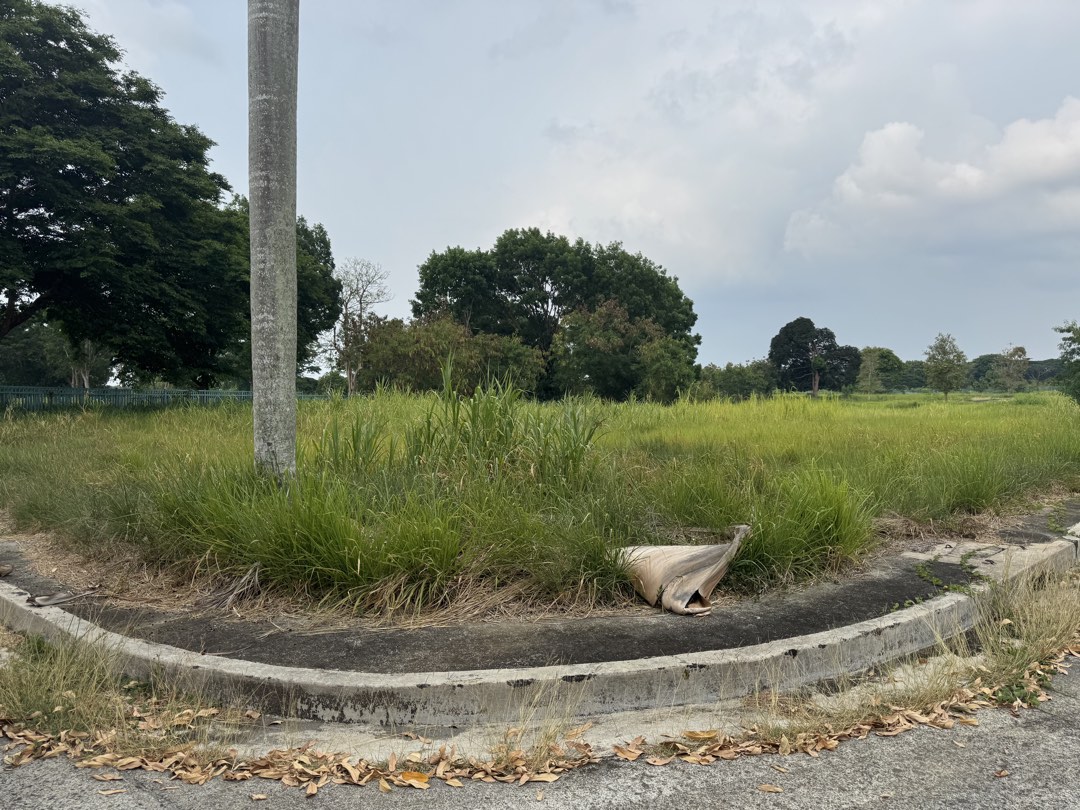 (Category: ) located in . Submitted by ctpwk (Listing ID 1444004597, Image 1). Description: .