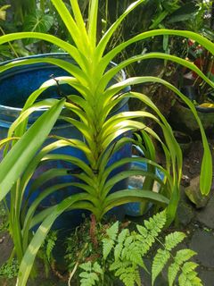 (Category: ) located in . Submitted by sindo.sg (Listing ID 1444099843, Image 1). Description: .