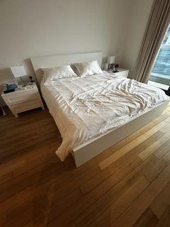 (Category: ) located in . Submitted by joy007 (Listing ID 1443985033, Image 1). Description: .