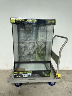 (Category: ) located in . Submitted by happyaquarium (Listing ID 1444129933, Image 1). Description: .