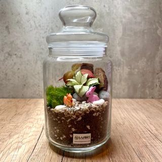 (Category: ) located in . Submitted by lushglassdoor (Listing ID 1444199543, Image 1). Description: .