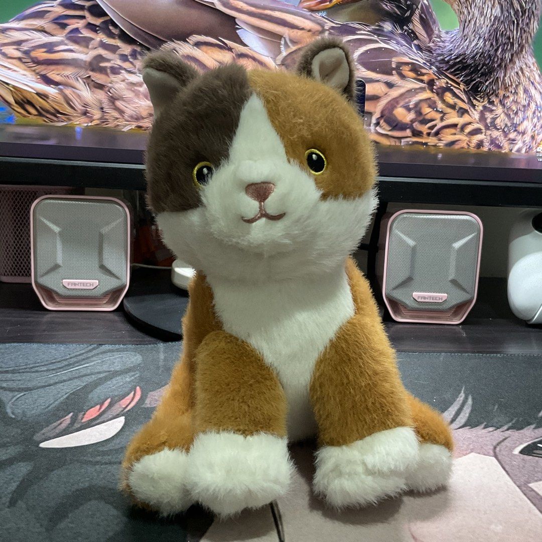 BlueMagic Calico Cat Plushie Purrl (Category: Plushies & Soft Toys) located in Arayat. Submitted by oriscart (Listing ID 1444191468, Image 1). Description: - Blue Magic Plushie Purrl - Brand New with Tag.