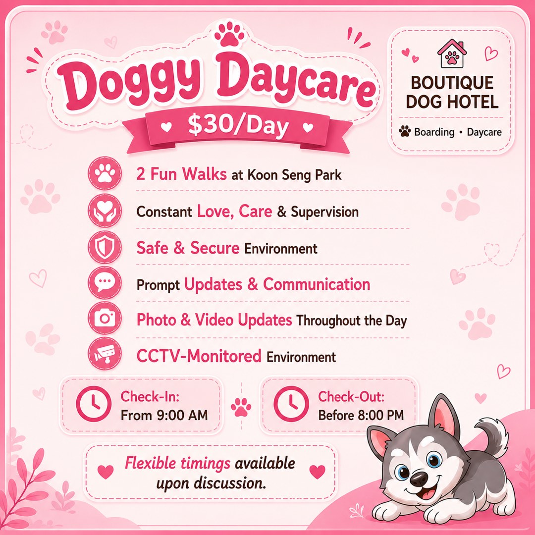 (Category: ) located in . Submitted by faylittlepaws (Listing ID 1444261258, Image 1). Description: .