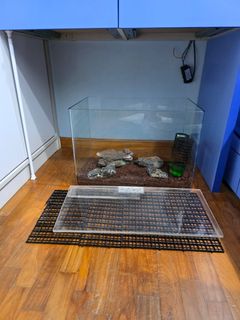 (Category: ) located in . Submitted by sellingthingsasap1 (Listing ID 1444224431, Image 1). Description: .
